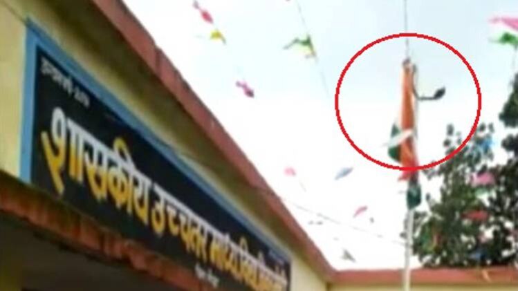 पोल में से निकला काला सांप