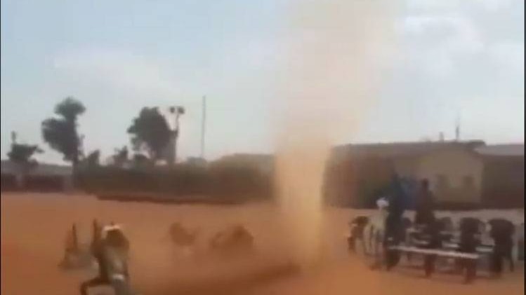 वायरल टेस्ट