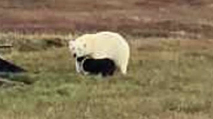 लंच ब्रेक