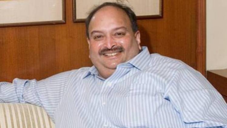 स्पेशल रिपोर्ट