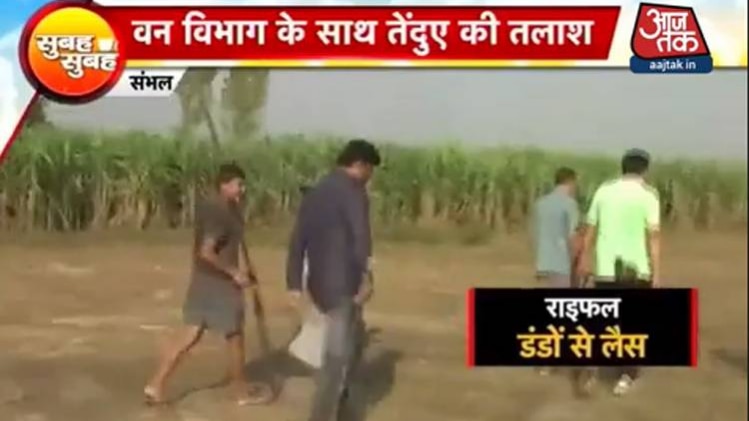 सुबह सुबह