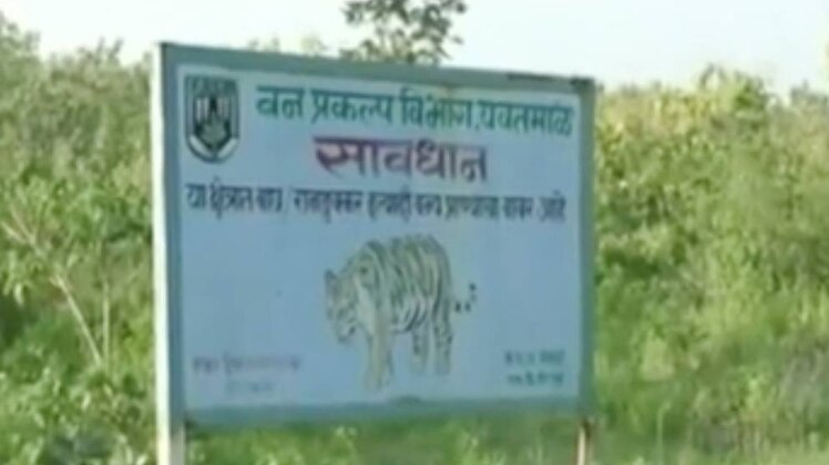 आदमखोर बाघिन पर नजर