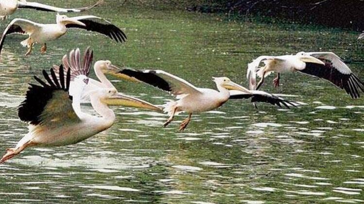 फाइल फोटो(साभार-इंडिया टुडे)