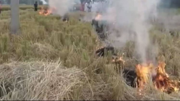 क्या फिर 'गैस चेंबर' बनेगी राजधानी दिल्ली?