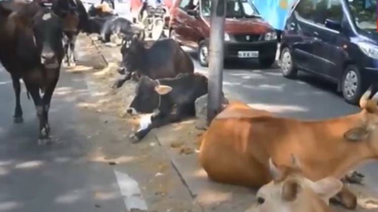 आओ बहस करें