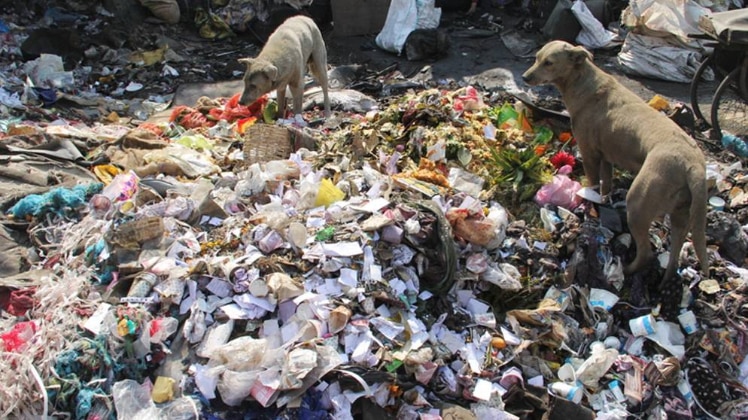 दिल्ली में हर तरफ कूड़ा ही कूड़ा