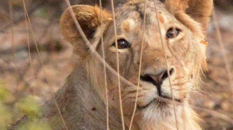 इंडिया टुडे फाइल फोटो