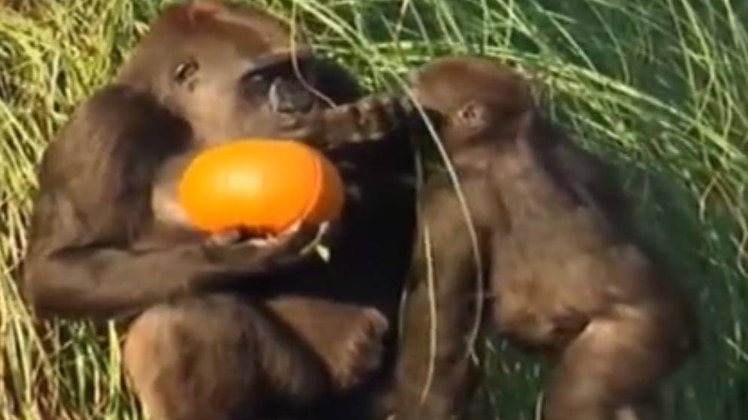 लंच ब्रेक