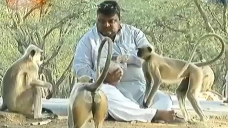 लंच ब्रेक