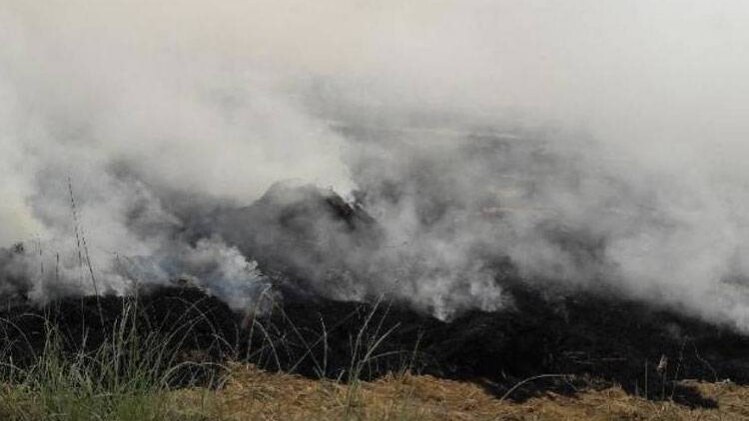 पराली पर टेंशन में पंजाब