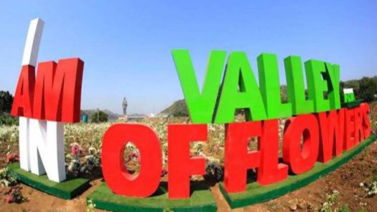 250 एकड़ में फैली वैली ऑफ फ्लॉवर