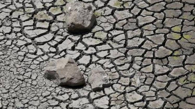 फाइल फोटो - रॉयटर्स