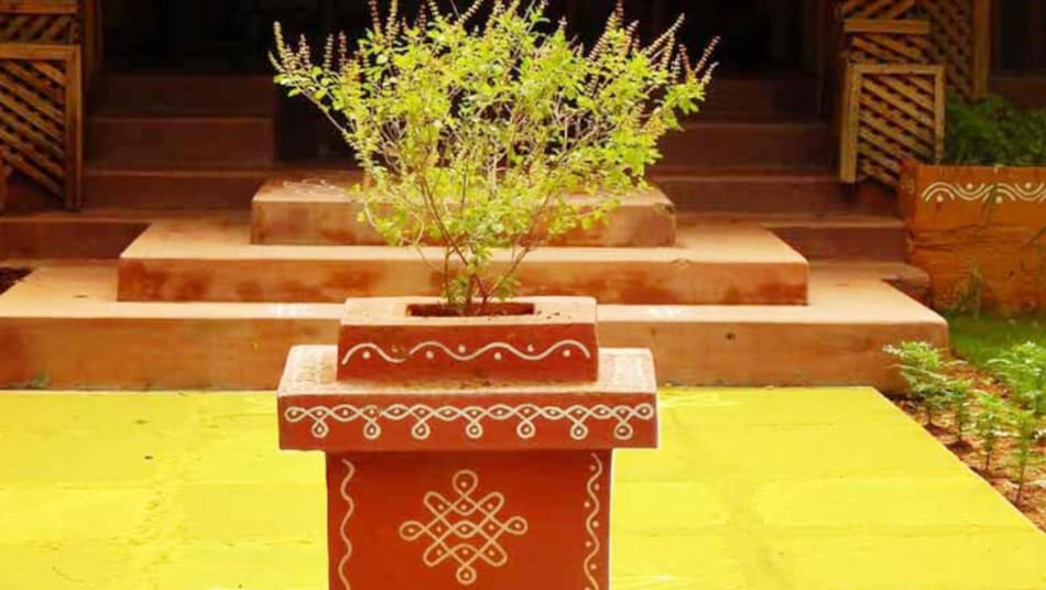 धर्म: तुलसी-शालिग्राम विवाह में मिलेगा वरदान - Dharam: Be blessed during  Tulsi Shaligram Vivah - Dharma AajTak