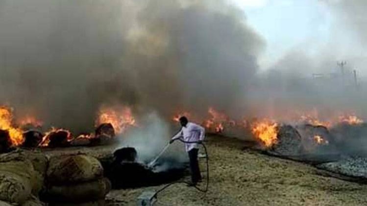 सुबह सुबह