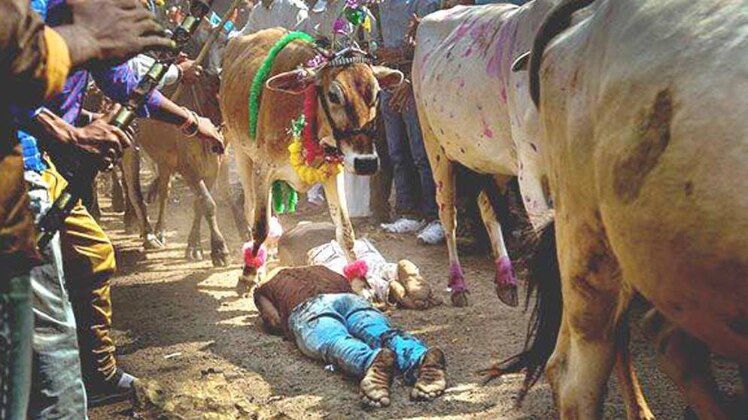 क्रांतिकारी बहुत क्रांतिकारी