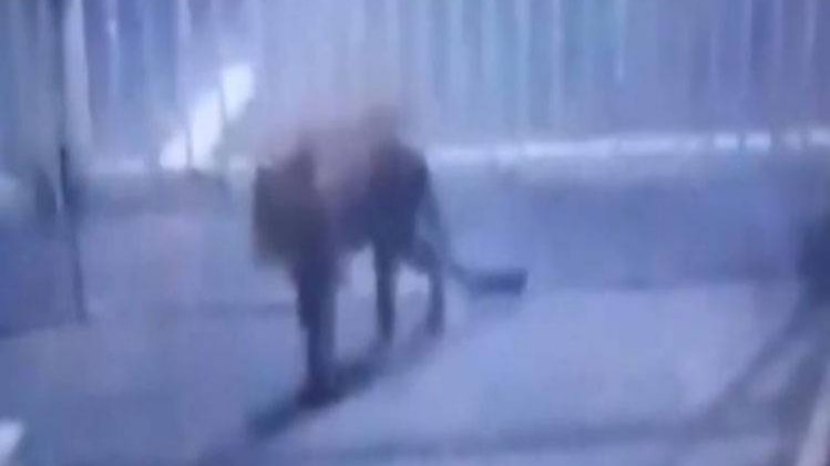 10 मिनट 50 खबरें