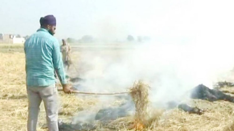 पारली का प्रदूषण