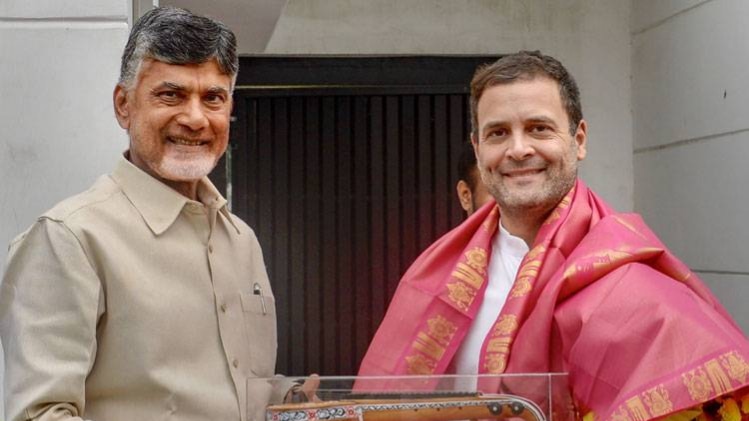 चंद्रबाबू नायडू और राहुल गांधी (फोटो- पीटीआई)