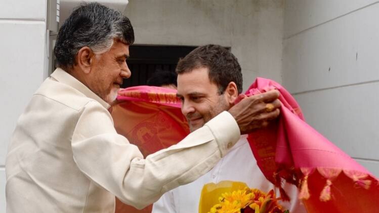 राहुल गांधी से मिले आंध्र प्रदेश के CM चंद्रबाबू नायडू