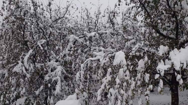 फाइल साभार- ANI