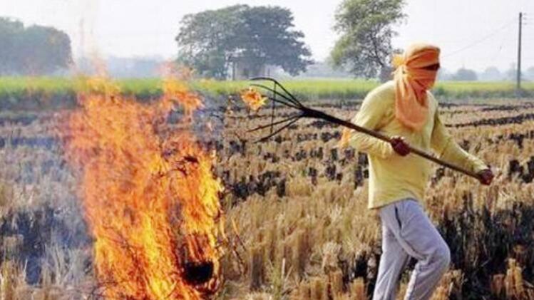 फाइल फोटो (साभार- PTI)