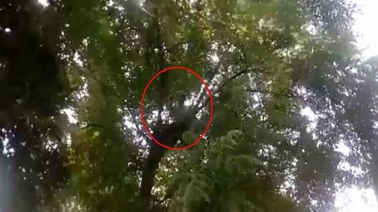 फाइल फोटो(साभार-इंडिया टुडे)