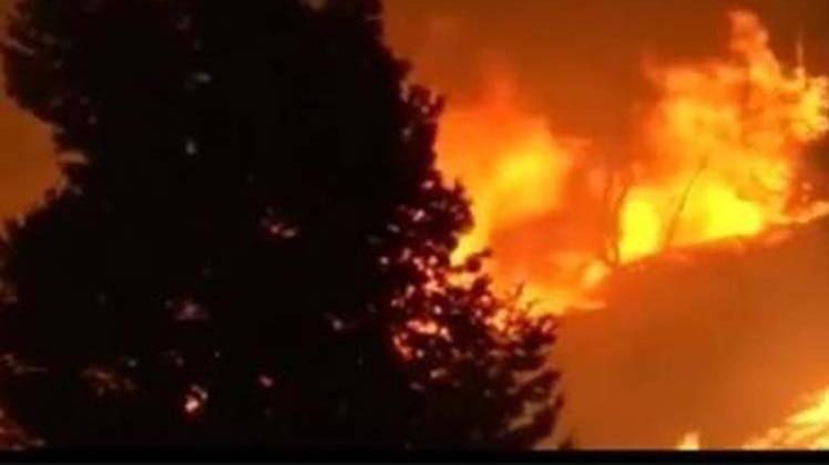 कैलिफोर्निया के जंगलों में लगी आग ने मचाई तबाही