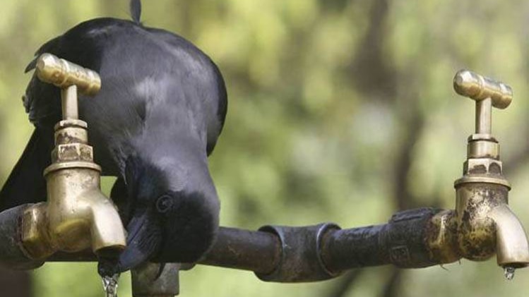 प्रतीकात्मक तस्वीर