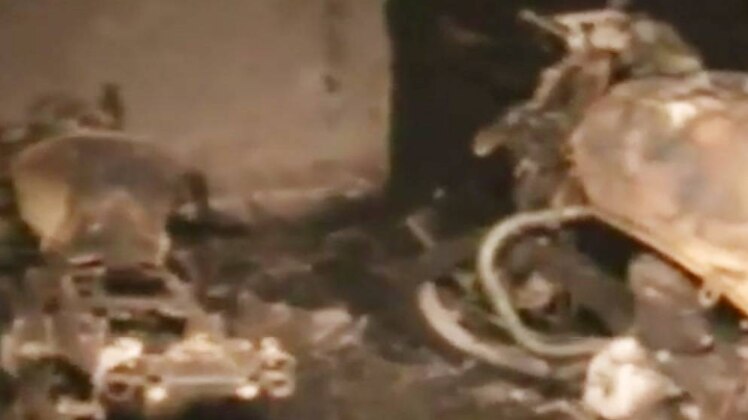 क्राइम 360