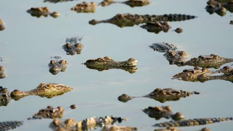 प्रतीकात्मक तस्वीर (रॉयटर्स)