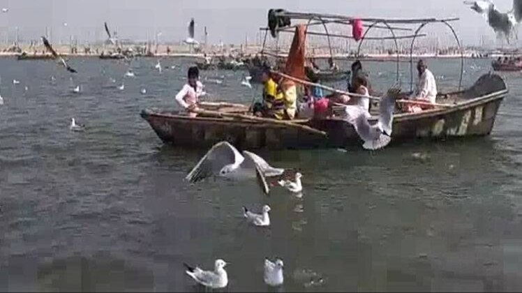 साइबेरियाई पक्षियों से सजा प्रयागराज, देखें वीडियो