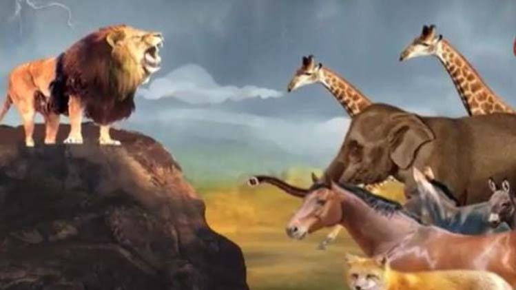 मैं भाग्य हूं: मजबूत इरादों से ऐसे मिलती है सफलता