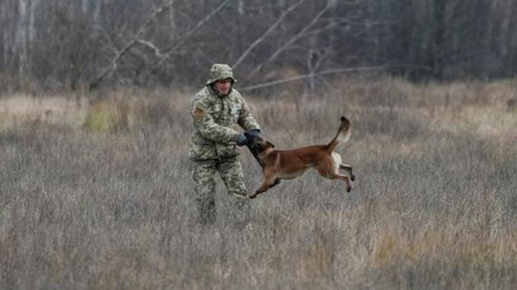 प्रतीकात्मक तस्वीर (रॉयटर्स)