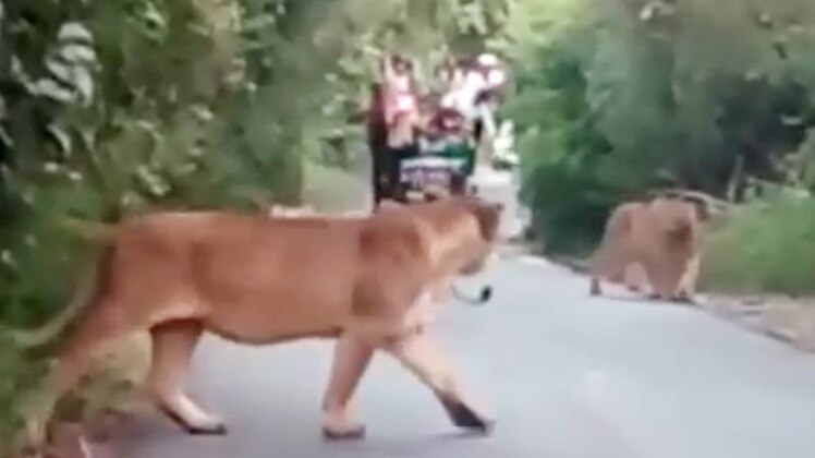 लंच ब्रेक