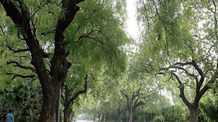 फाइल फोटो