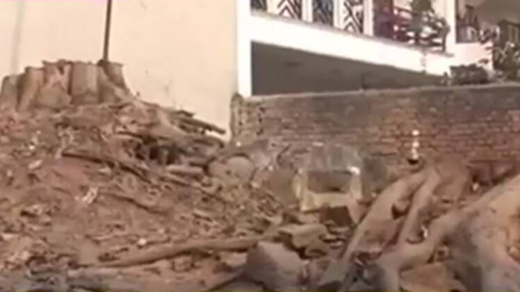 दिल्ली में पेड़ काटे गए