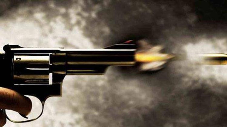 नए साल की पार्टी में बीजेपी नेता ने चलाई गोली, महिला घायल