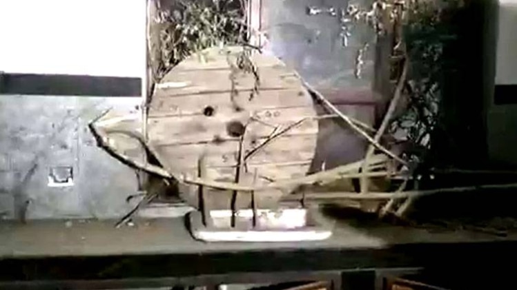 खंडहर में तब्दील हो चुका यह स्वास्थ्य केंद्र