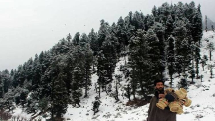 बर्फबारी