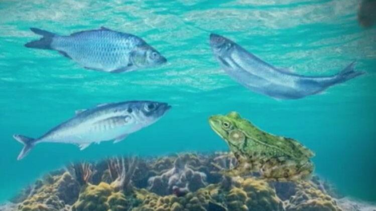 मैं भाग्य हूं