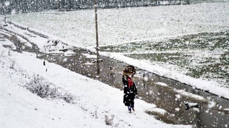 नॉनस्टॉप 100