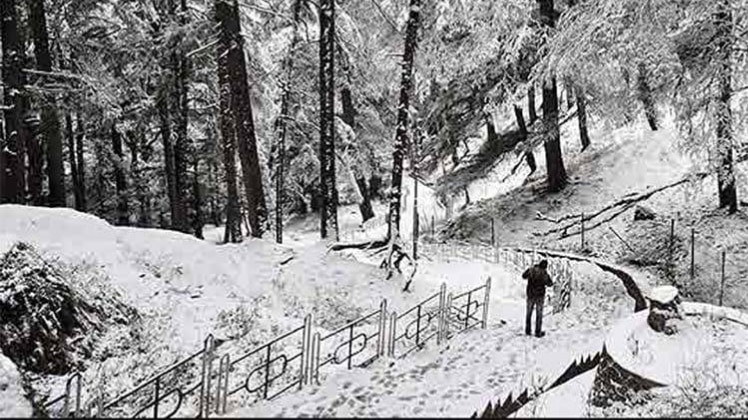 नॉनस्टॉप 100: हिमाचल में भारी बर्फबारी, 2-3 फीट जमी बर्फ