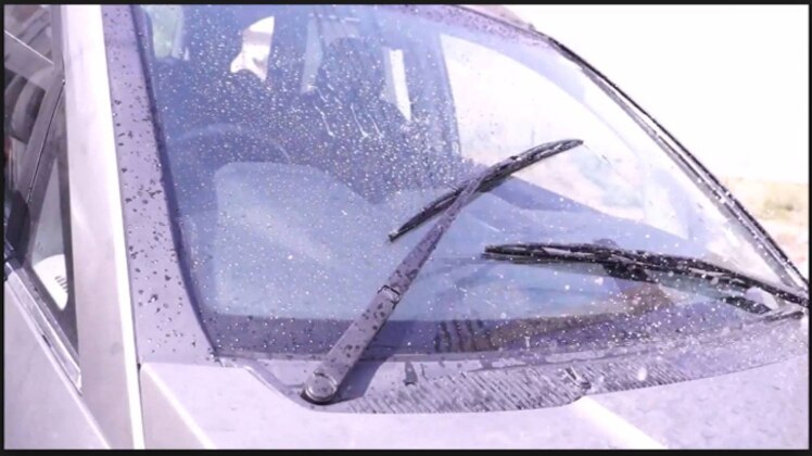 खबरें काम की: कोहरे में सुरक्षित सफर के लिए रखें इन बातों का ध्यान