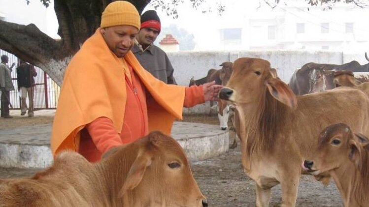 योगी आदित्यनाथ