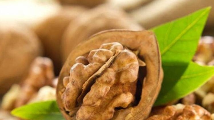 (प्रतीकात्मक फोटो)