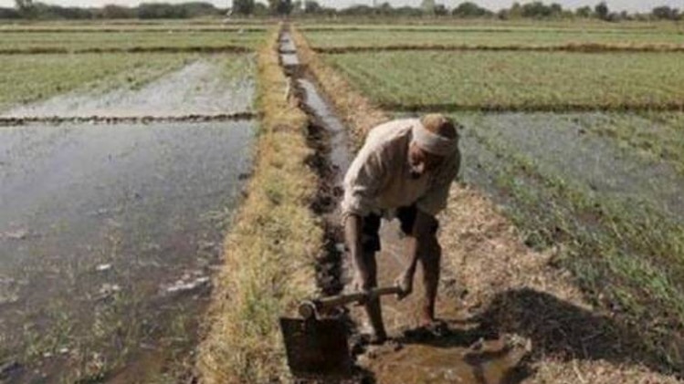 अपने खेत में काम करता किसान