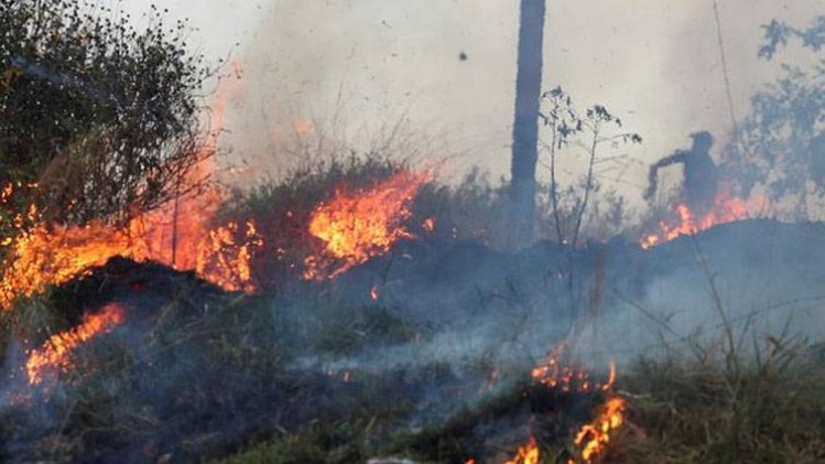 सुबह सुबह