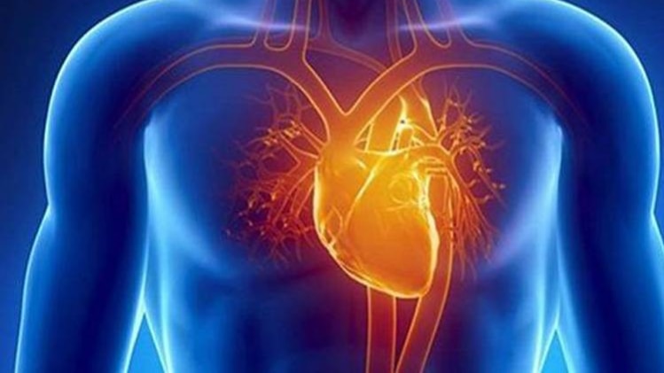 प्रतीकात्मक तस्वीर