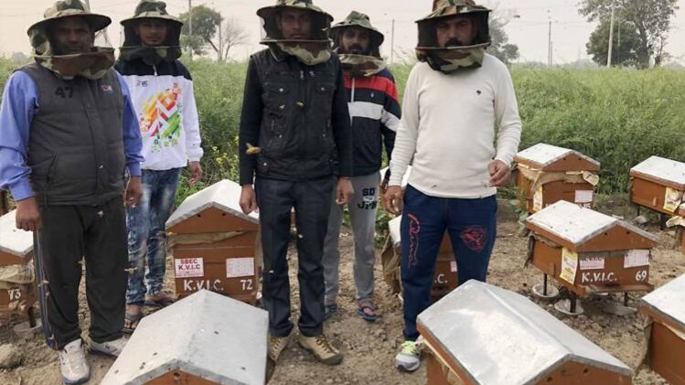 मधुमक्खी पालन में लगे किसान (फोटो-रामकिंकर)