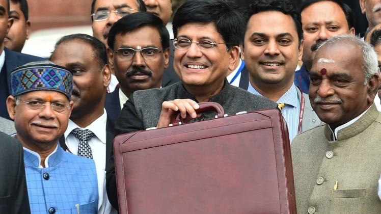 पीयूष गोयल (Photo: PTI)